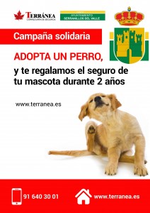 cartel adopta un perro SERRANILLOS DEL VALLE